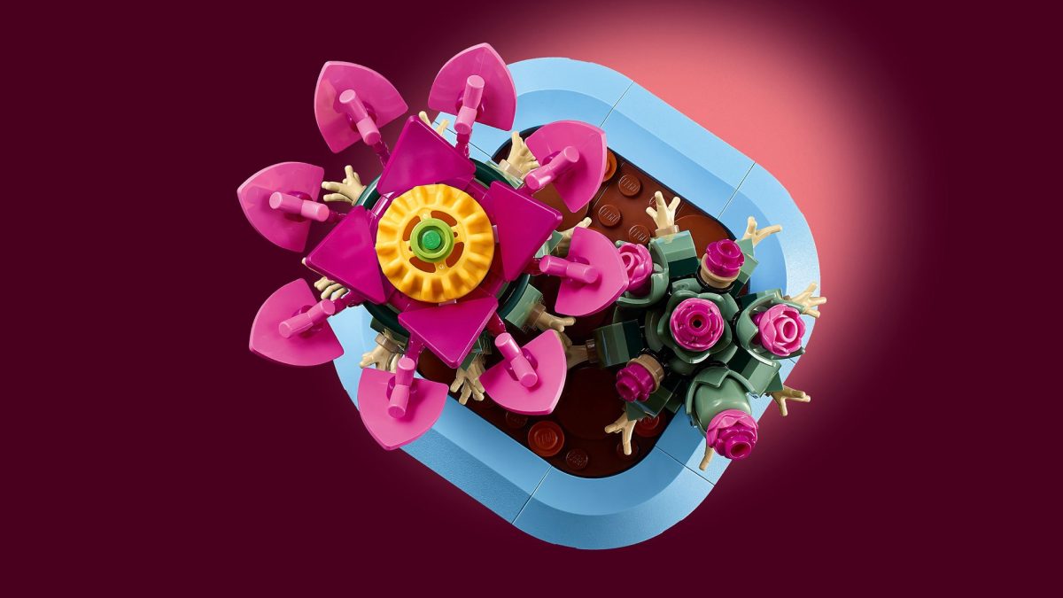 LEGO Botanicals 11509 Flowering Cactus 13 1200x675
