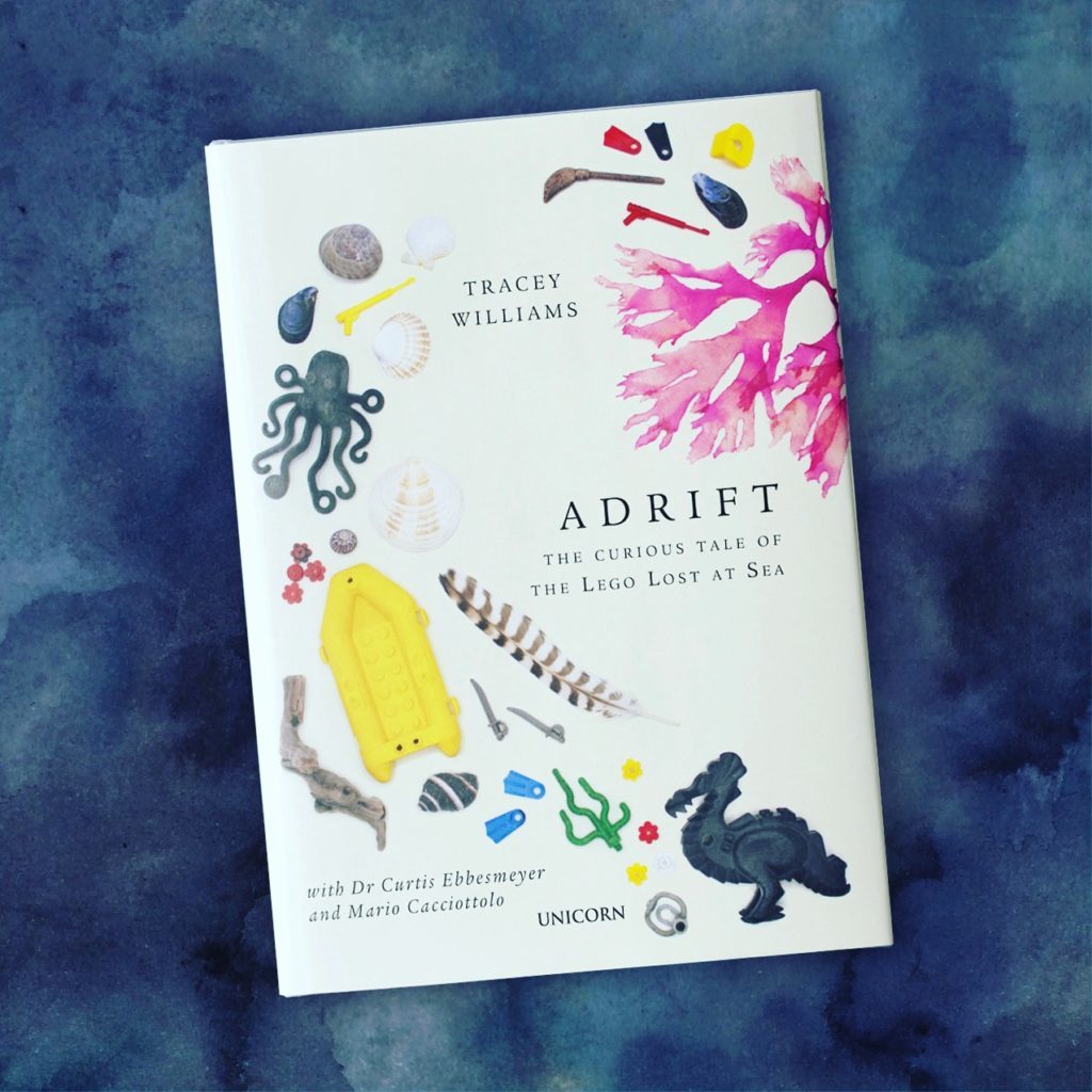 Adrift LEGO Lost at Sea Tracey Williams book 1024x1024