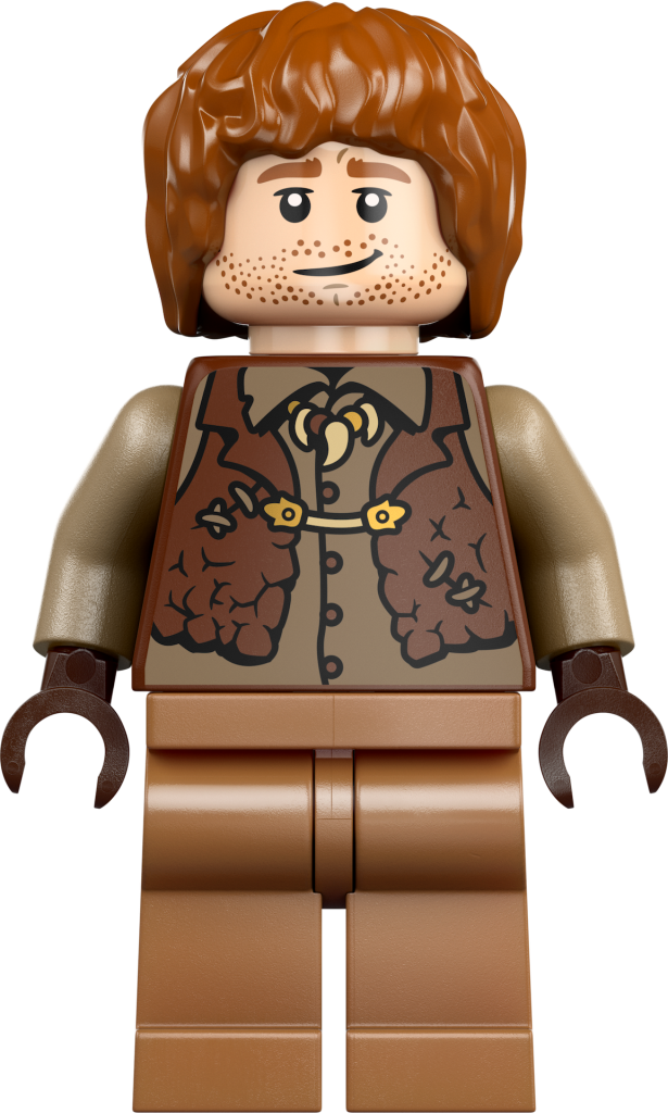 LEGO Harry Potter 76437 The Burrow Collectors Edition 17 615x1024
