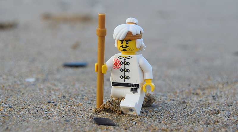 Brick Pic of the Day: Wandering Wu