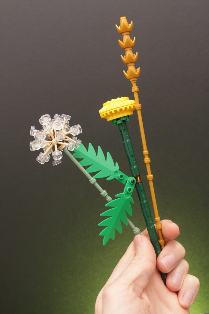 LEGO Botanicals 30701 Field Flowers review 7 683x1024
