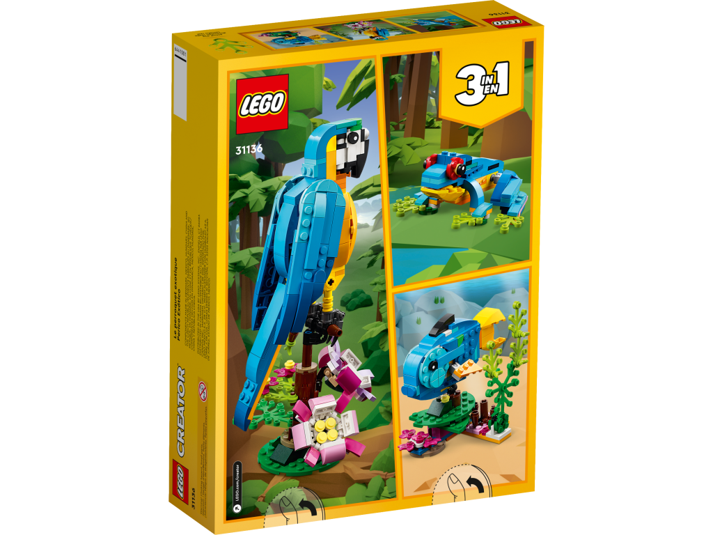 31136 Exotic Parrot 4 1024x768