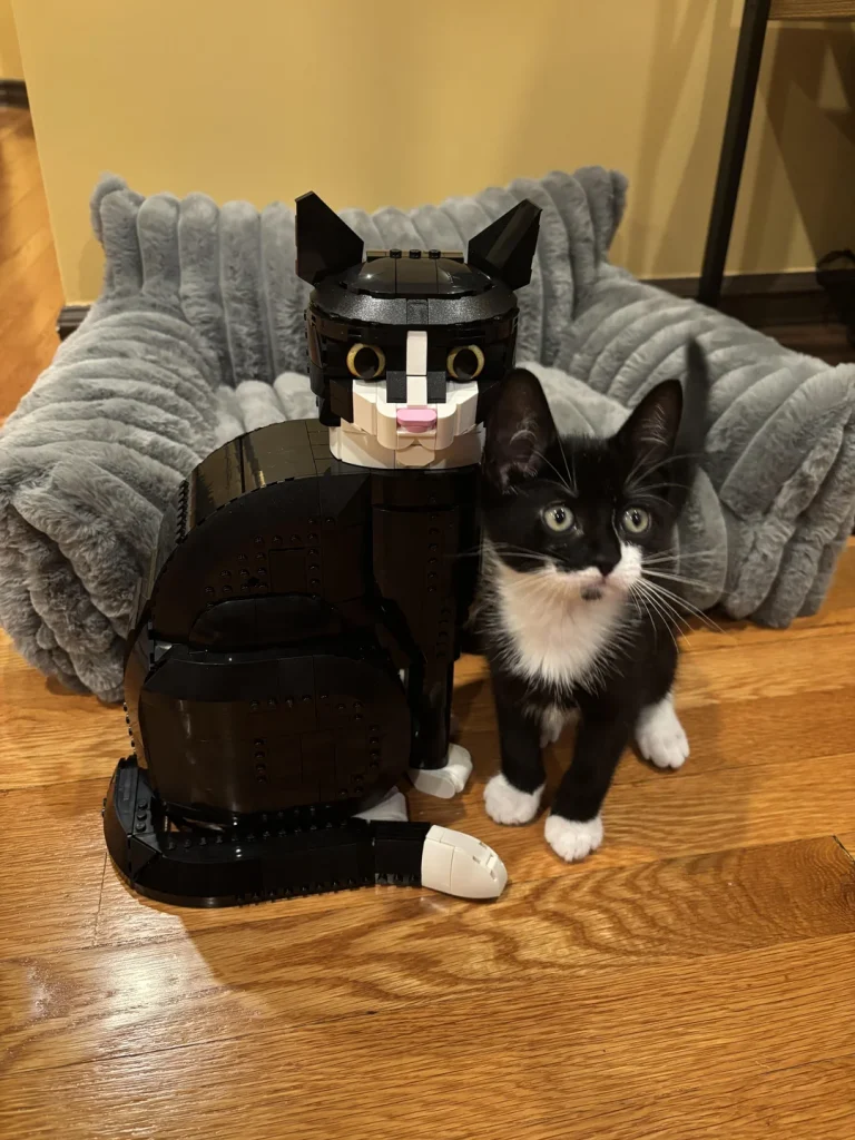 lego 21349 kitten amacscama 768x1024