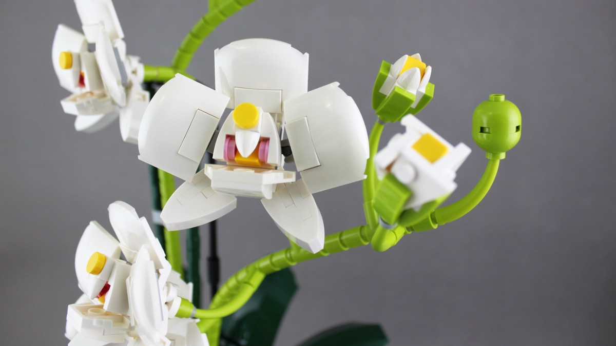 LEGO Ideas could expand the Botanical Collection with brick-built orchid