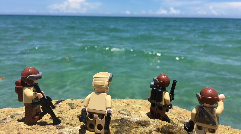 Brick Pic of the Day: Surveying the terrain