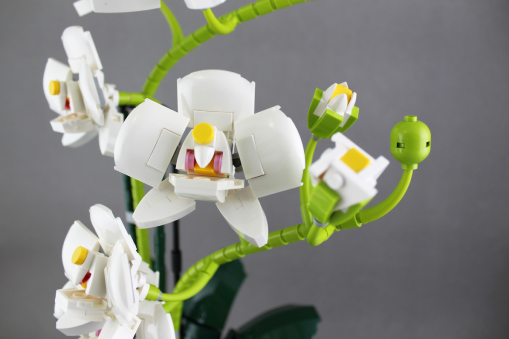 LEGO Ideas Orchid 6 1024x683