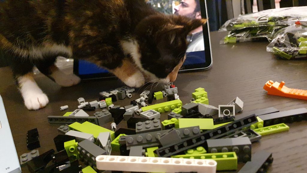 LEGO Kittens Brick Fanatics 1