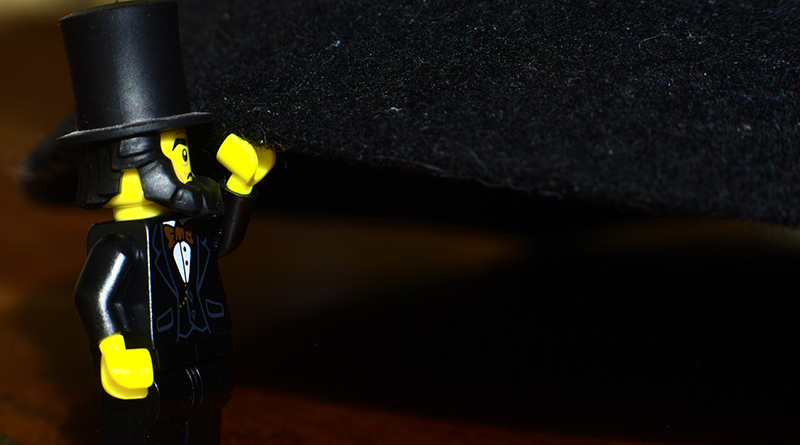 Brick Pic of the Day: What's that hat?