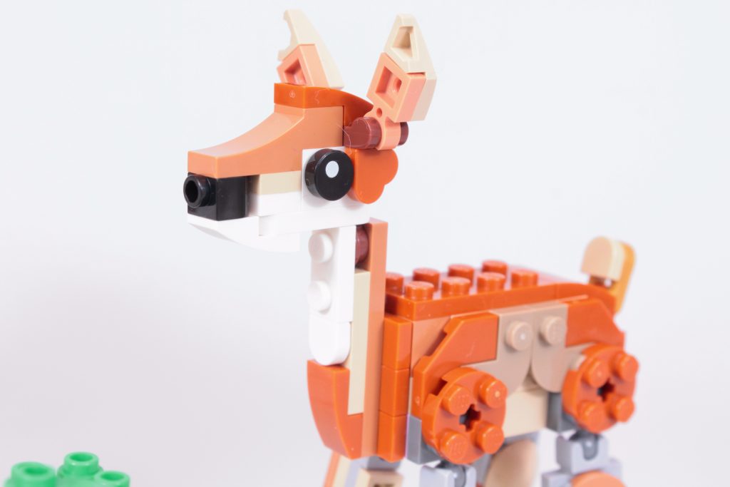 LEGO Creator 3 in 1 31150 Wild Safari Animals review 18 1024x683