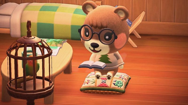 Animal Crossing Maple 1