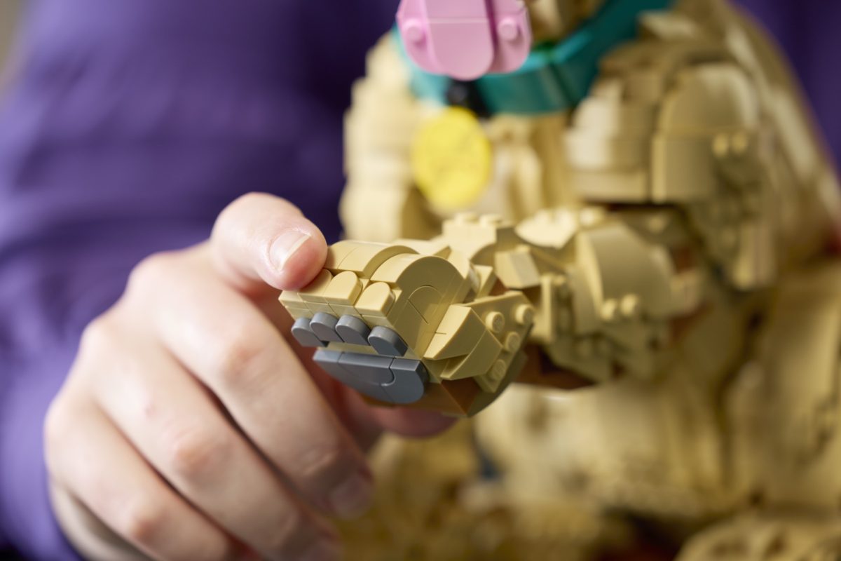 LEGO Icons 11384 Golden Retriever Puppy 15 1200x800