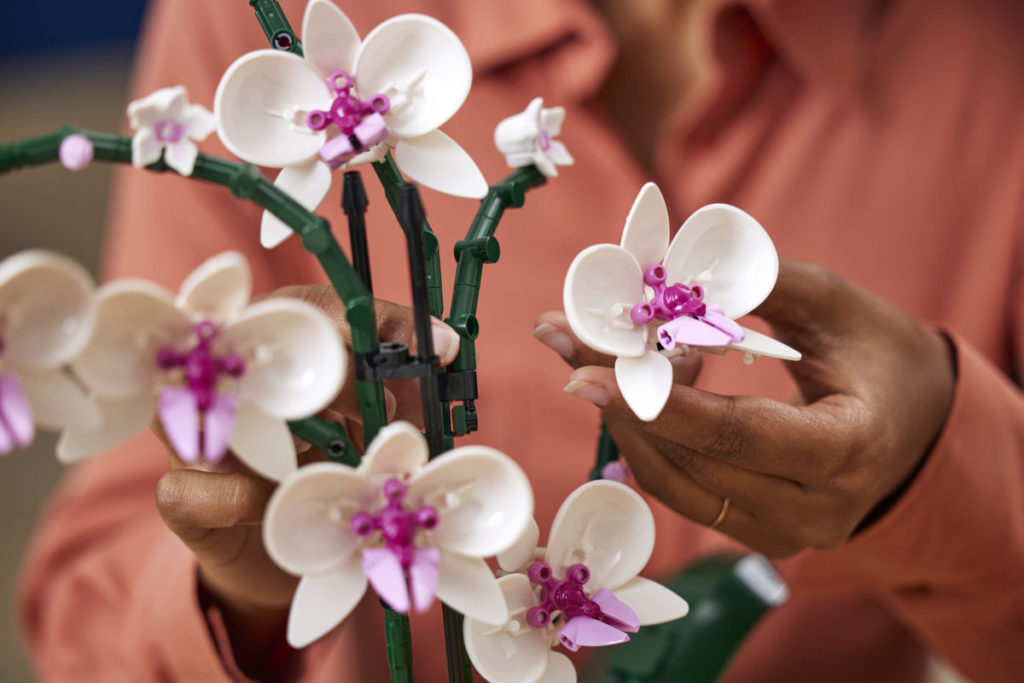 LEGO Creator Expert Botanical Collection 10311 Orchid 5 1024x683