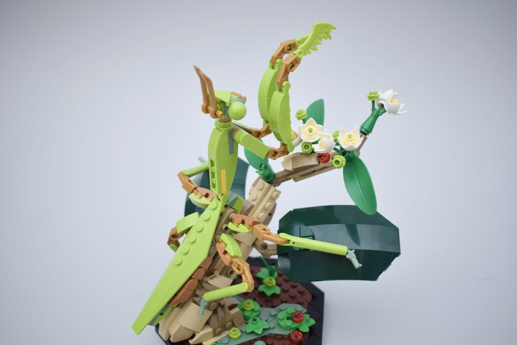 LEGO Ideas 21342 The Insects Collection Review 3 1024x683