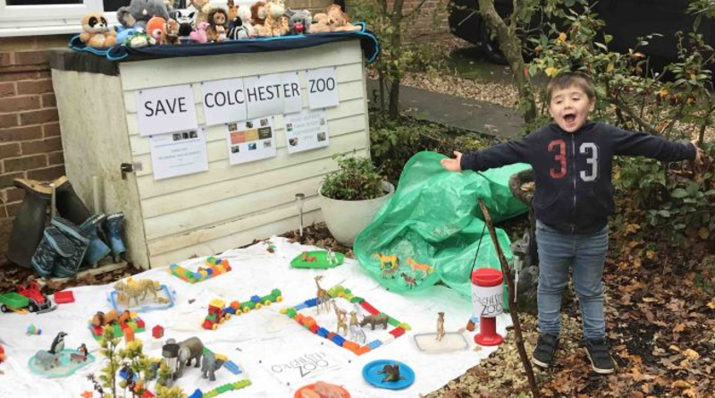 Five-year-old raises thousands for Zoo by building LEGO DUPLO version