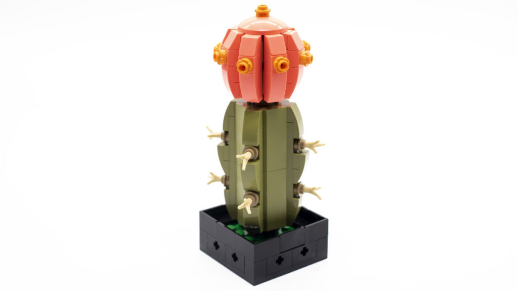 LEGO The Botanical Collection 10309 Succulents 17 1024x576