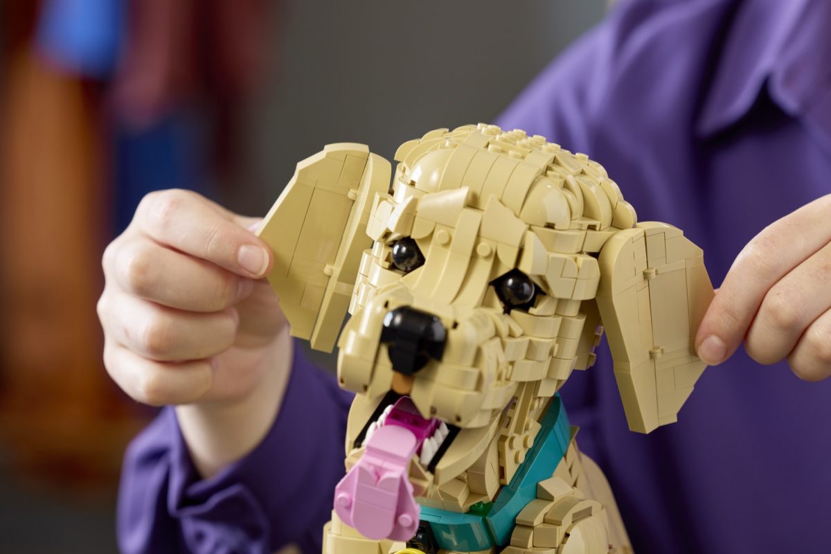 LEGO Icons 11384 Golden Retriever Puppy 17 1200x800