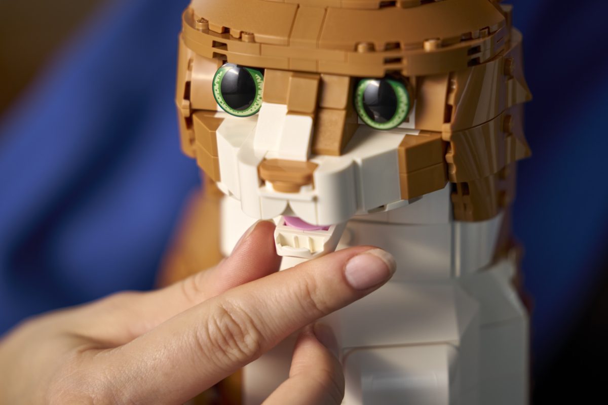 LEGO Ideas 21376 Orange Cat 9 1200x800