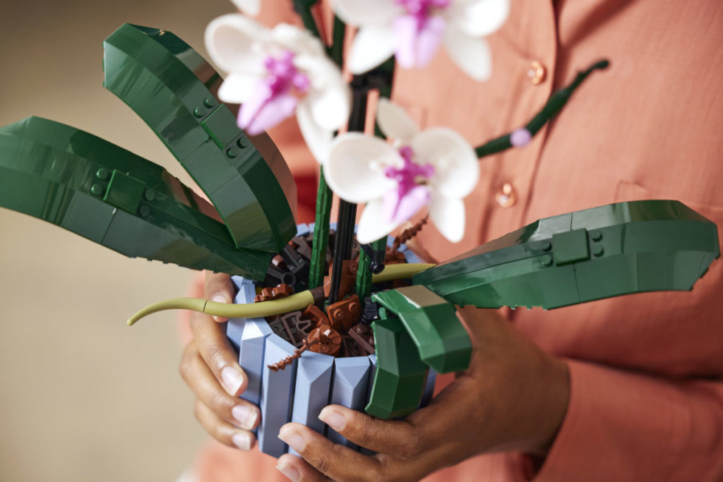 LEGO Creator Expert Botanical Collection 10311 Orchid 6 1024x683