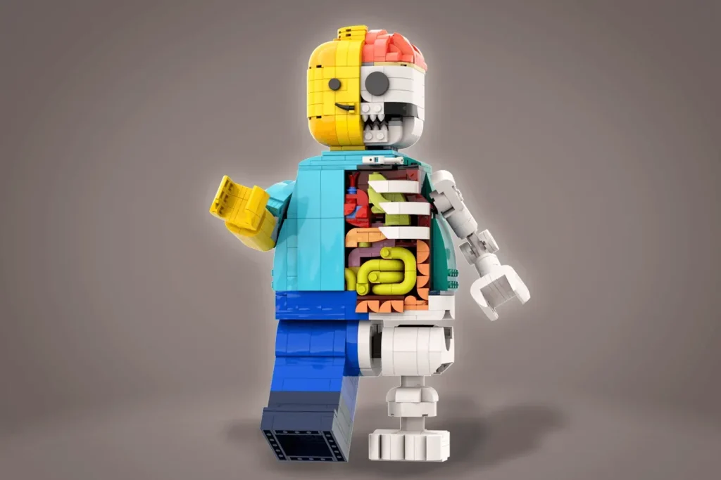 LEGO Ideas anatomy 2 1024x683