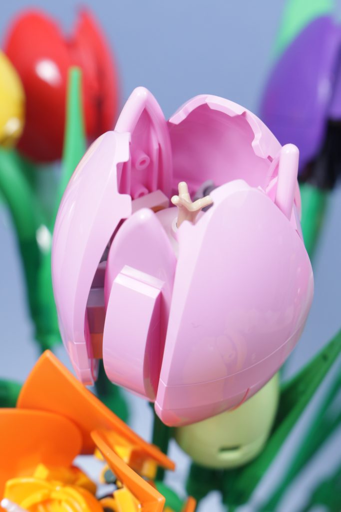 LEGO Botanicals 11501 Tulip Bouquet 11509 Flowering Cactus 11508 Daisies 11504 Peace Lily review 28 683x1024