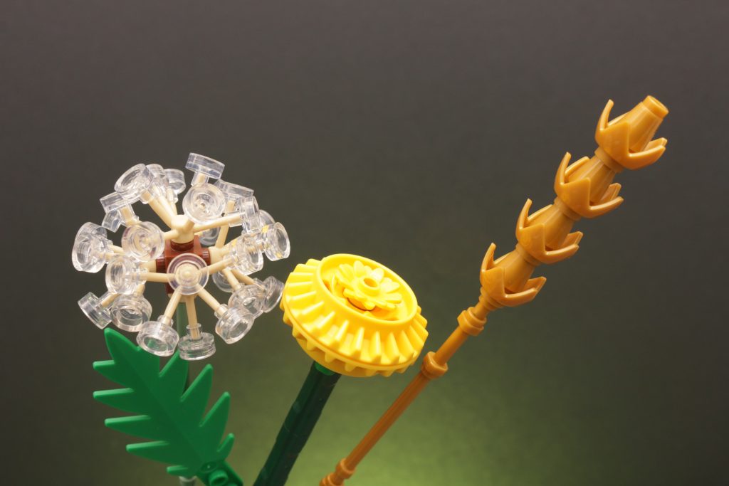 LEGO Botanicals 30701 Field Flowers review 6 1024x683