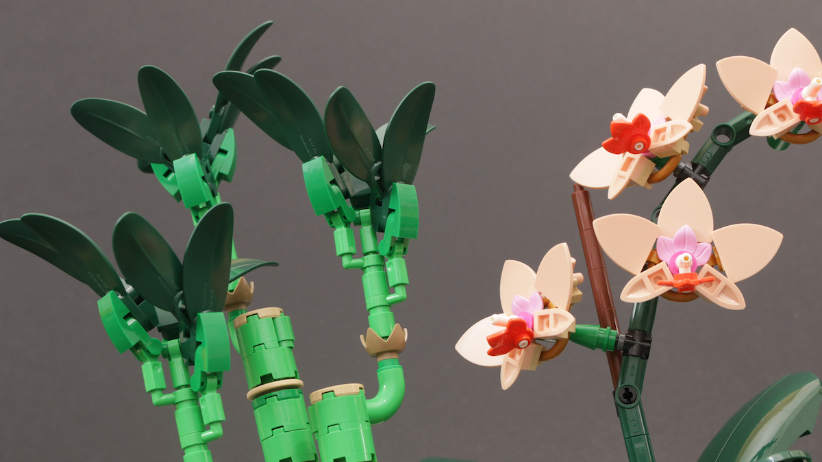 LEGO Botanicals 10343 Mini Orchid and 10344 Lucky Bamboo review